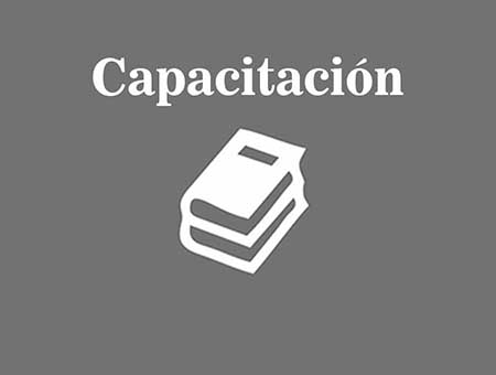 Programa de Liderazgo, Emprendimiento e Innovación - PLEI