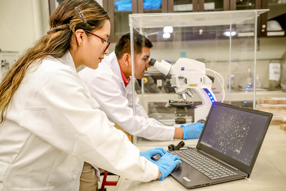 Laboratorio de Ciencias Naturales
