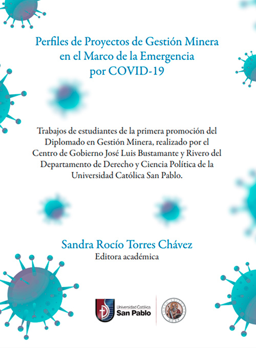Perfiles de proyectos de gestión minera en el marco de la emergencia por covid -19