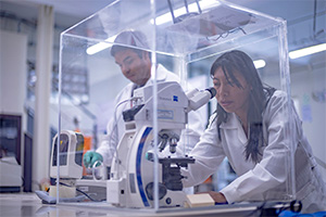 Investigación